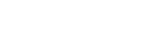 VFS Partner